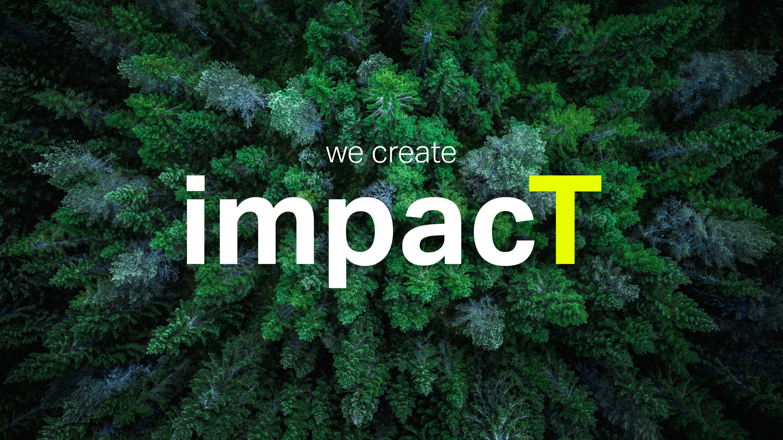 Impact: The Team corporate reporting