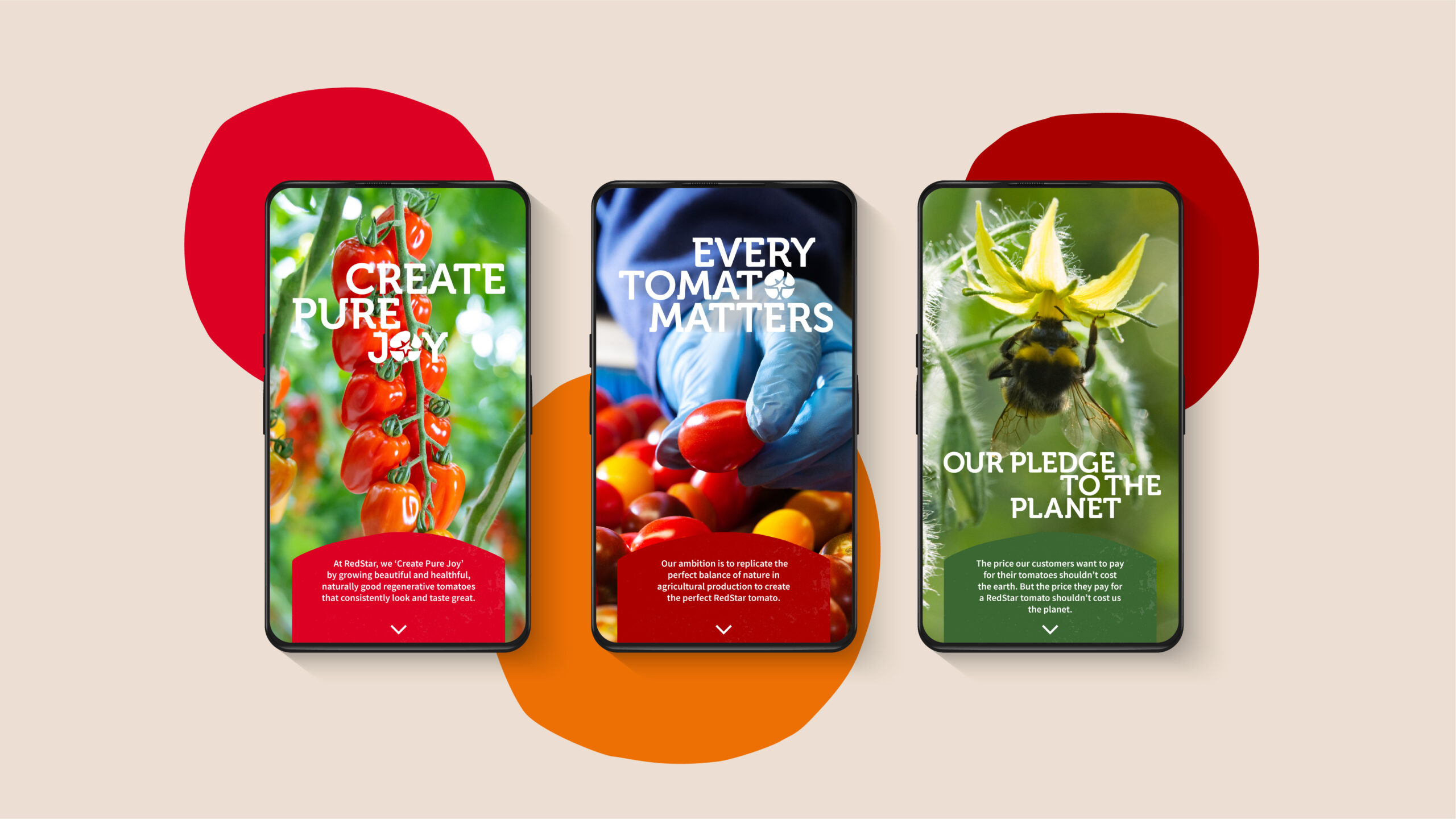 RedStar branding the world's tomatoes