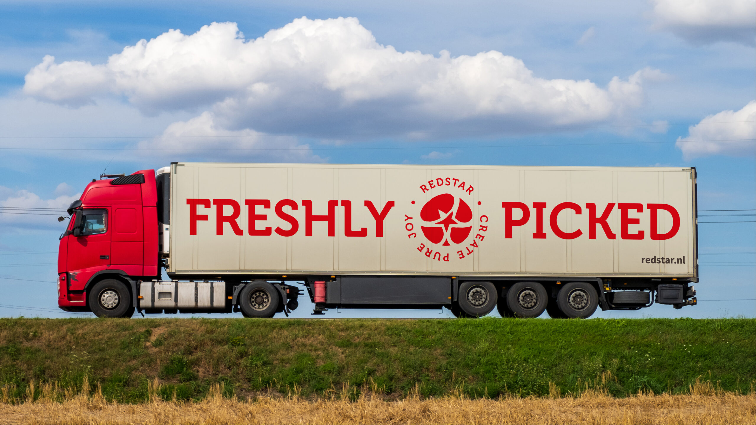 RedStar branding the world's tomatoes