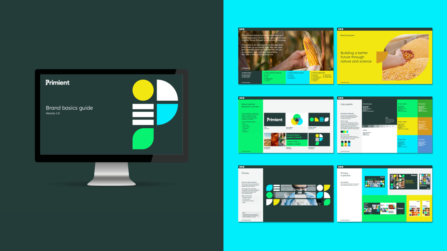 Primient | Case Study | Brand Strategy | The Team