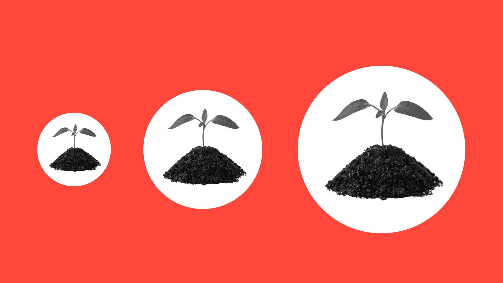 3 tips to stay consistent with your business’s sustainability goals cover